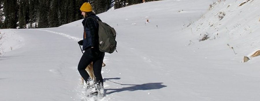 Central Colorado’s Most Scenic Snowshoe Hikes