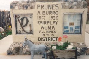 Prunes the Burro of Fairplay, Colorado