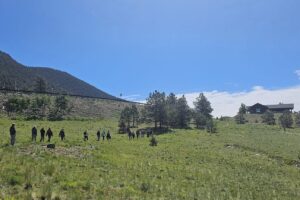 Birdwatching at Wilkerson Pass: A Memorable Day in Nature