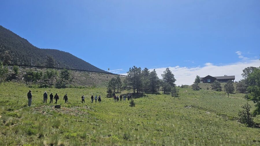 Birdwatching at Wilkerson Pass: A Memorable Day in Nature