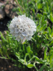 20240718_103924 Small